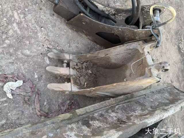 卡特彼勒 305.5 挖掘机