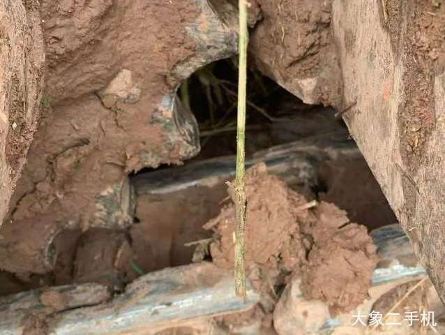 卡特彼勒 新一代Cat®323液压 挖掘机