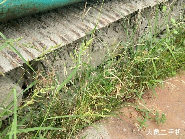 神钢 SK60-8 挖掘机