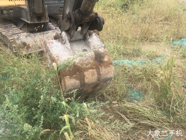 沃尔沃 EC55B-Pro 挖掘机