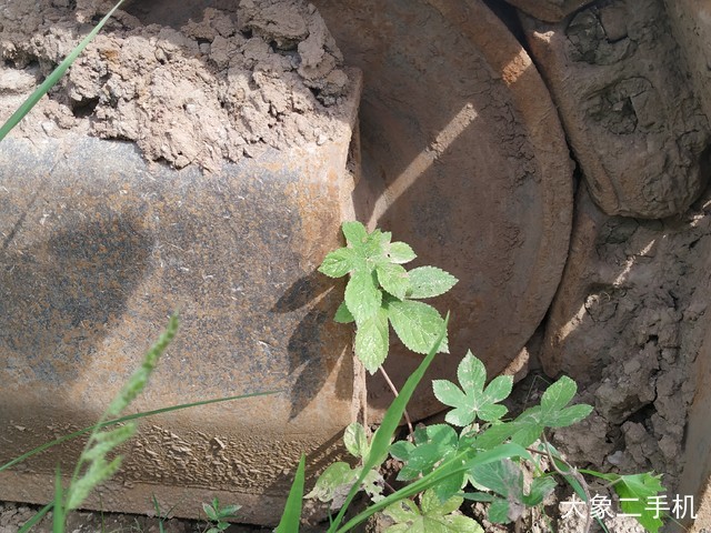 卡特彼勒 329D 挖掘机