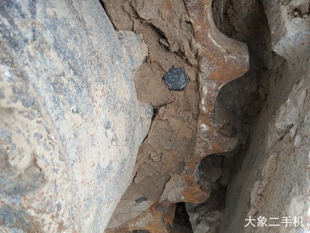 卡特彼勒 323DL 挖掘机