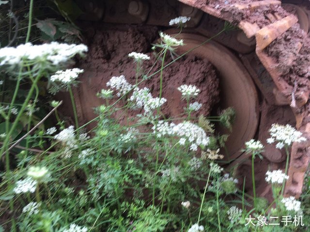 雷沃重工 FR220E 挖掘机