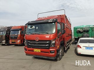 Truck 大运轻卡 220HP
