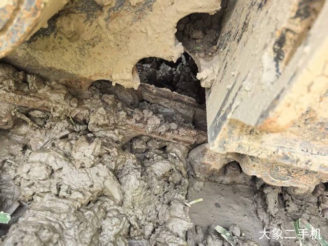 卡特彼勒 308B 挖掘机